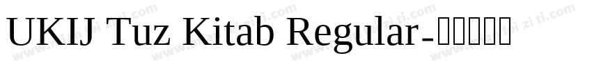 UKIJ Tuz Kitab Regular字体转换